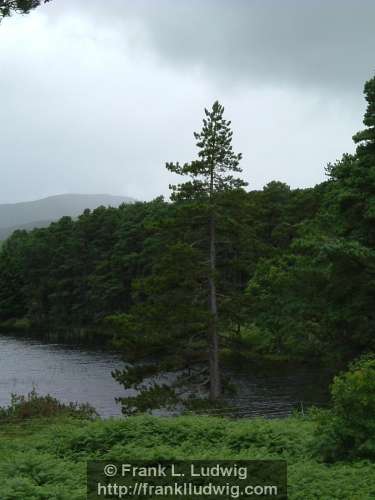 Lough Veagh